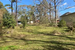 171 Cherry Tree, Livingston, TX 77351 - Photo 1