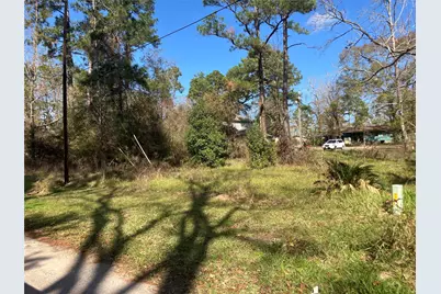 171 Cherry Tree, Livingston, TX 77351 - Photo 2