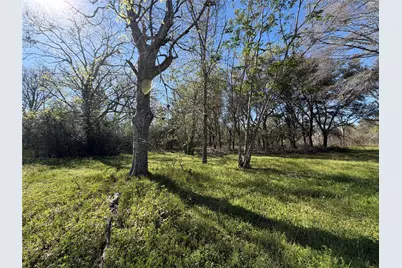 34159 Butternut Lane, Brookshire, TX 77423 - Photo 8