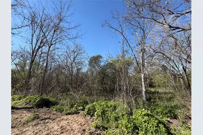 34159 Butternut Lane, Brookshire, TX 77423 - Photo 14