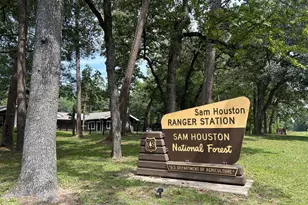 19572 Stripe Hl Bnd, Montgomery, TX 77316 - Photo 38