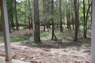 303 Pelican Street, Magnolia, TX 77355 - Photo 28
