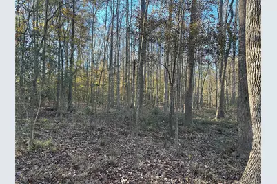 5604 County Road 364, Buffalo, TX 75831 - Photo 8