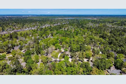 143 S Delta Mill Circle, Conroe, TX 77385 - Photo 4