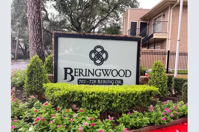728 Bering Drive #9, Houston, TX 77057 - Photo 1