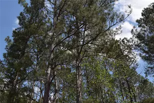 21056 Hereford Way, Cleveland, TX 77328 - Photo 20