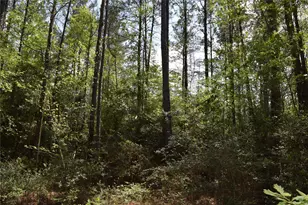 21056 Hereford Way, Cleveland, TX 77328 - Photo 22