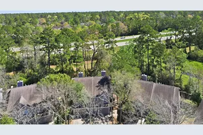 151 Anise Tree Place, The Woodlands, TX 77382 - Photo 26