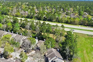 151 Anise Tree Pl, The Woodlands, TX 77382 - Photo 28