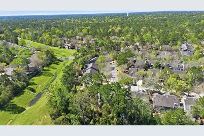 151 Anise Tree Place, The Woodlands, TX 77382 - Photo 32