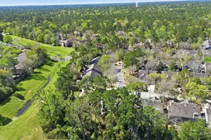 151 Anise Tree Pl, The Woodlands, TX 77382 - Photo 32
