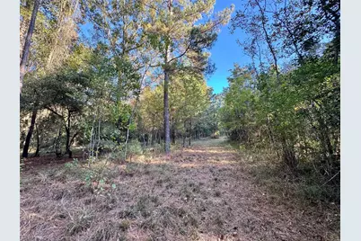 Tbd County Road 2300 N, Cleveland, TX 77327 - Photo 24