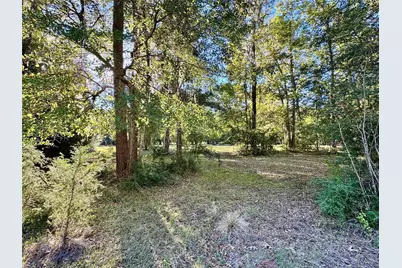 Tbd County Road 2300 N, Cleveland, TX 77327 - Photo 6