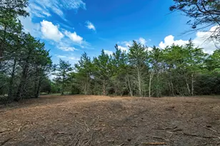 405 Vineyard View Trail Lot 5, Carmine, TX 78932 - Photo 1