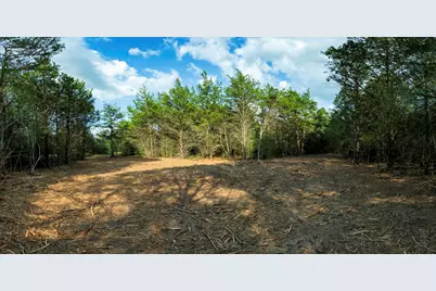 405 Vineyard View Trail - Lot 5, Carmine, TX 78932 - Photo 10