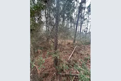 0 Tanglewood, Magnolia, TX 77534 - Photo 8