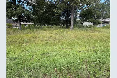 23923 Paper Wasp Lane, New Caney, TX 77357 - Photo 2