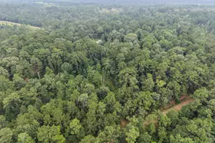 577 Winding River Rd, Oakhurst, TX 77364 - Photo 38