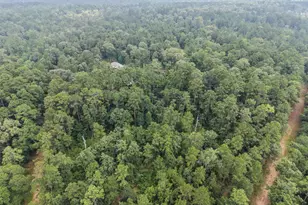 577 Winding River Rd, Oakhurst, TX 77364 - Photo 30