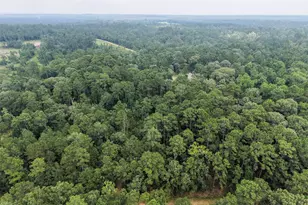 577 Winding River Rd, Oakhurst, TX 77364 - Photo 40