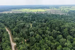 577 Winding River Rd, Oakhurst, TX 77364 - Photo 42