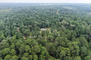 577 Winding River Rd, Oakhurst, TX 77364 - Photo 36