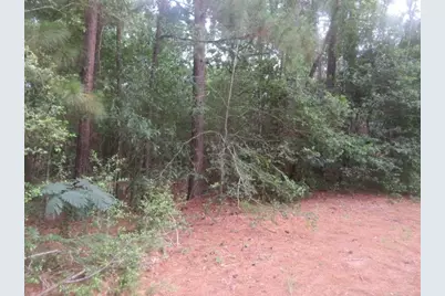 0 Alchester, Plantersville, TX 77363 - Photo 2