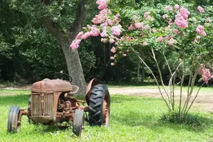 17027 Red Oak Dr, Plantersville, TX 77363 - Photo 1