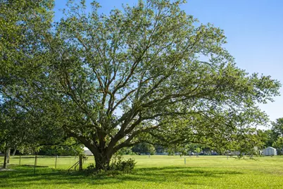 93 Swallow Street, Palacios, TX 77465 - Photo 18