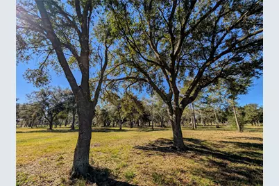 3724 County Road 326, Alvin, TX 77511 - Photo 10
