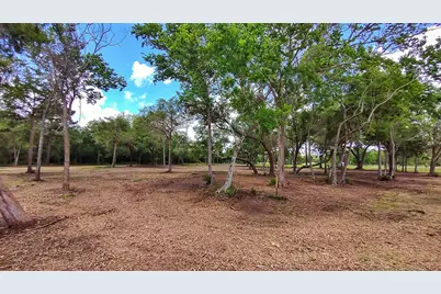 3724 County Road 326, Alvin, TX 77511 - Photo 6