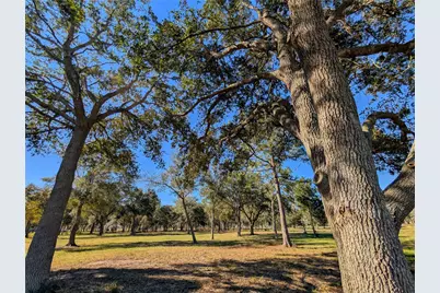 3724 County Road 326, Alvin, TX 77511 - Photo 1