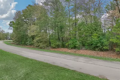 19310 Cabango Drive, Porter, TX 77365 - Photo 12