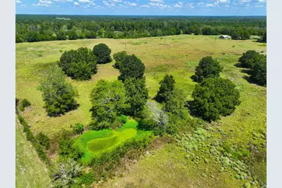 2085 County Road 3620, Lovelady, TX 75851 - Photo 2