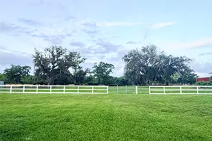 4238 County Rd 507, Brazoria, TX 77422 - Photo 10