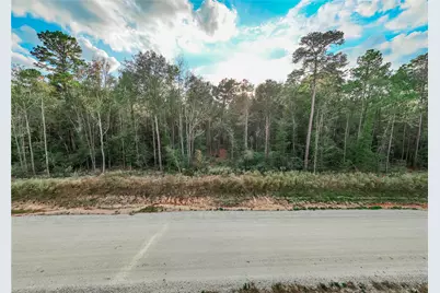 134 Splendid Road, New Waverly, TX 77358 - Photo 6