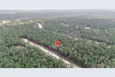 134 Splendid Road, New Waverly, TX 77358 - Photo 12