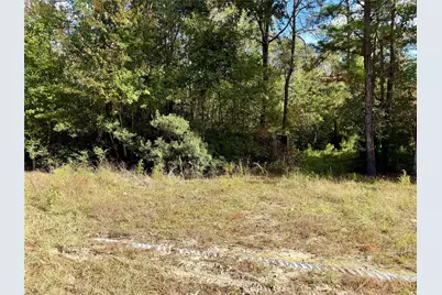 198 Bear Track Trail, Livingston, TX 77351 - Photo 4