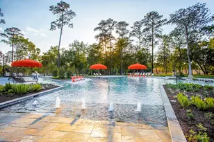 241 Trillium Park Loop, Conroe, TX 77304 - Photo 46