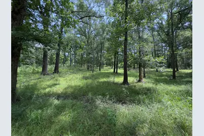 947 County Road 2850, Cleveland, TX 77327 - Photo 4