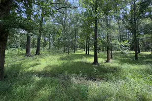 947 Co Rd 2850, Cleveland, TX 77327 - Photo 4