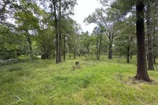 947 Co Rd 2850, Cleveland, TX 77327 - Photo 14