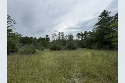 T4 Round Prairie Road, Huntsville, TX 77320 - Photo 2