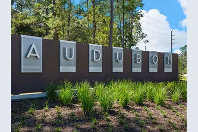 16852 Deep Wingbeat Way, Magnolia, TX 77354 - Photo 10