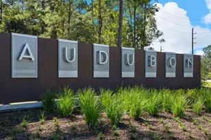 16852 Deep Wingbeat Way, Magnolia, TX 77354 - Photo 10