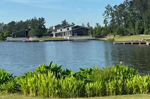 17447 Vino Vines Ln, Conroe, TX 77302 - Photo 44