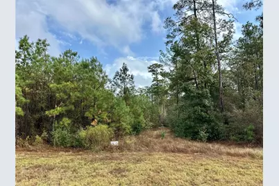 15886 Wood Grove Way, Willis, TX 77378 - Photo 1