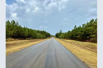15886 Wood Grove Way, Willis, TX 77378 - Photo 4