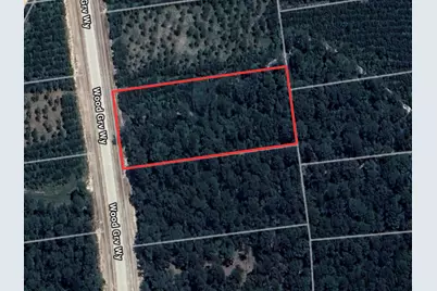 15886 Wood Grove Way, Willis, TX 77378 - Photo 10