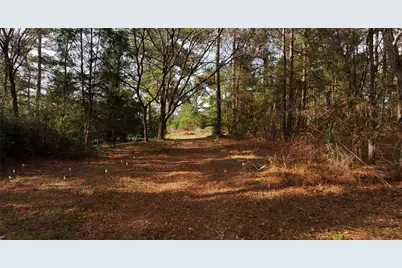 17 Ac St Beulah Chapel Rd, Montgomery, TX 77316 - Photo 6